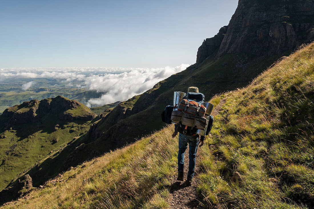 Hiking up to the Amphitheatre, Drakensberg Mountains, Royal Natal National Park, KwaZulu-Natal Province, South Africa, Africa