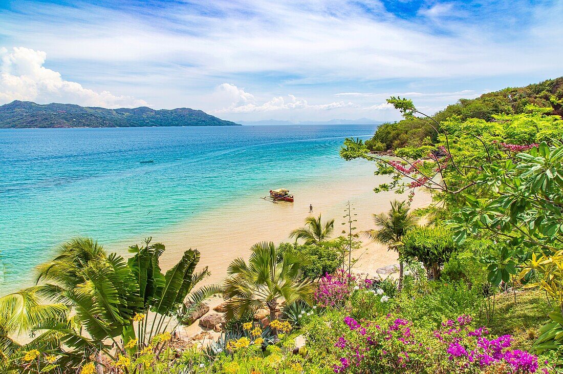 Auslegerboot durch die Vegetation am Strand von Nosy Komba, Nordwest-Madagaskar, Indischer Ozean, Afrika