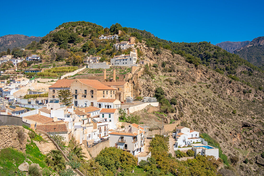 Blick auf weiß getünchte Häuser und Berge im Hintergrund, Frigiliana, Provinz Malaga, Andalusien, Spanien, Mittelmeer, Europa