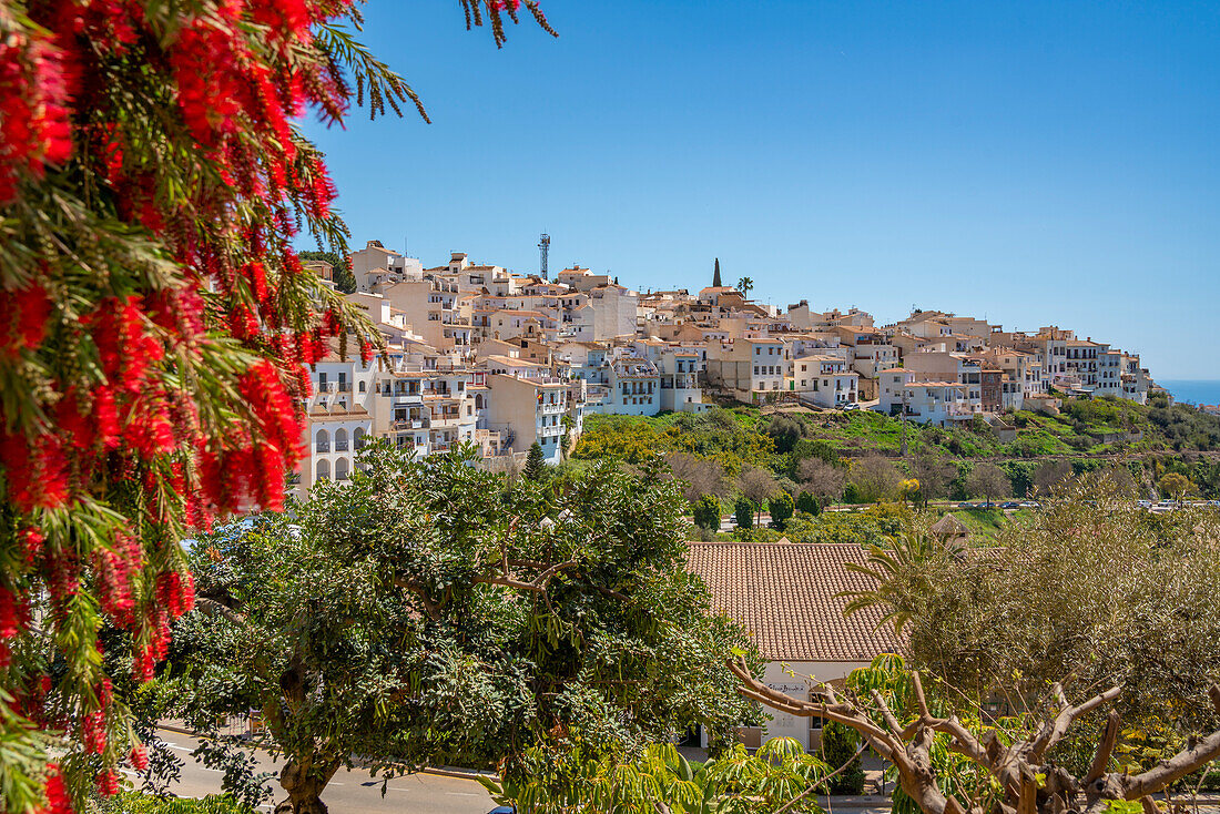 Panoramic view of whitewashed houses and rooftops, Frigiliana, Malaga Province, Andalucia, Spain, Mediterranean, Europe