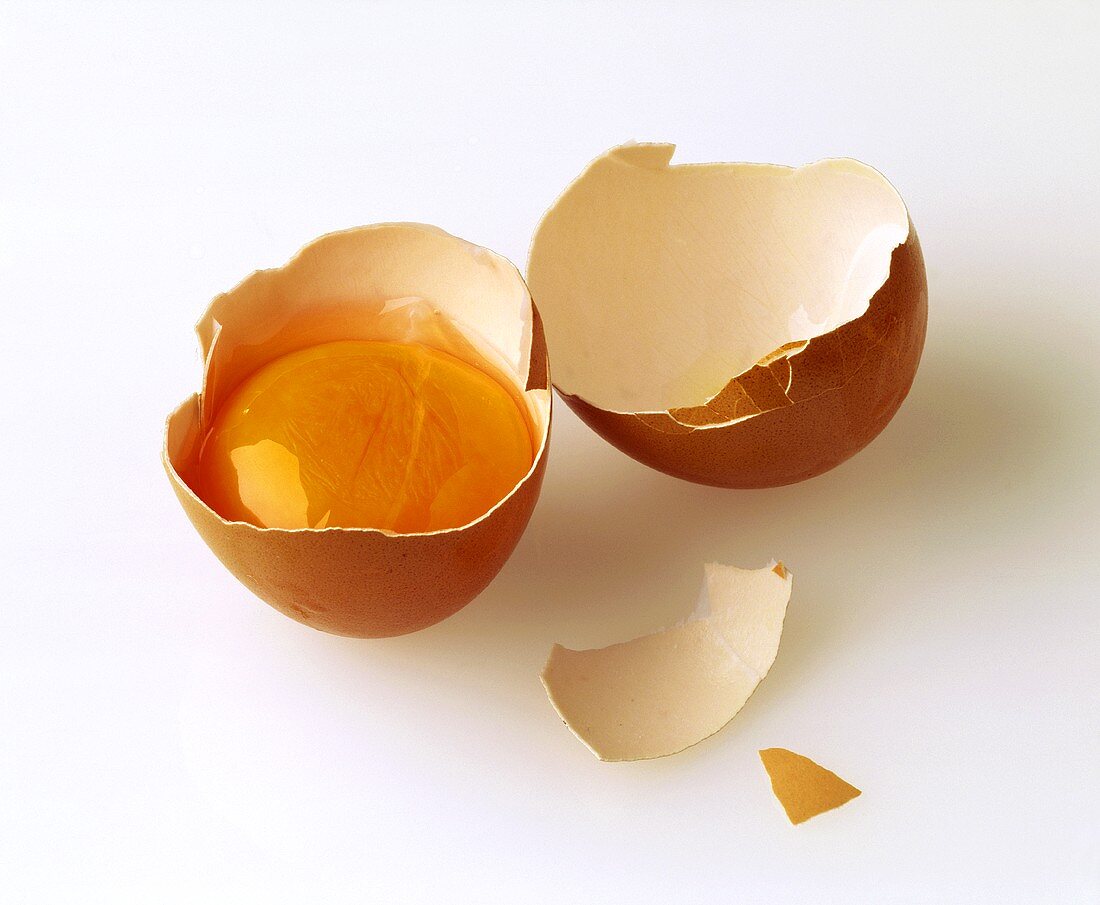 Egg Yolk in a Broken Egg Shell