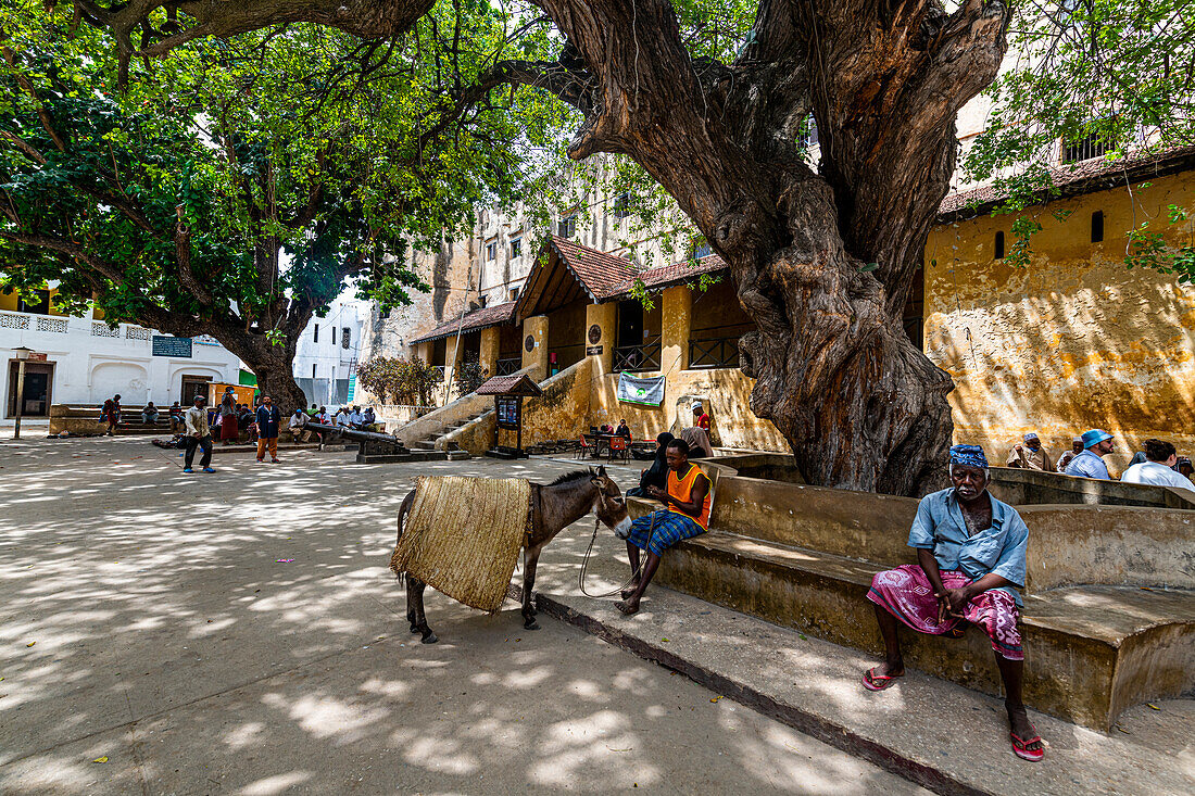 Town square in front of Lamu Fort, UNESCO World Heritage Site, island of Lamu, Kenya, East Africa, Africa