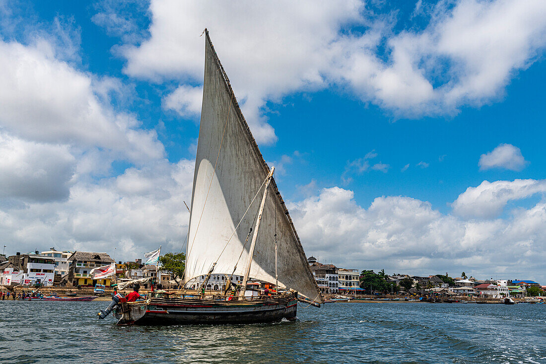 Traditional dhow sailing in the Indian Ocean, island of Lamu, Kenya, East Africa, Africa