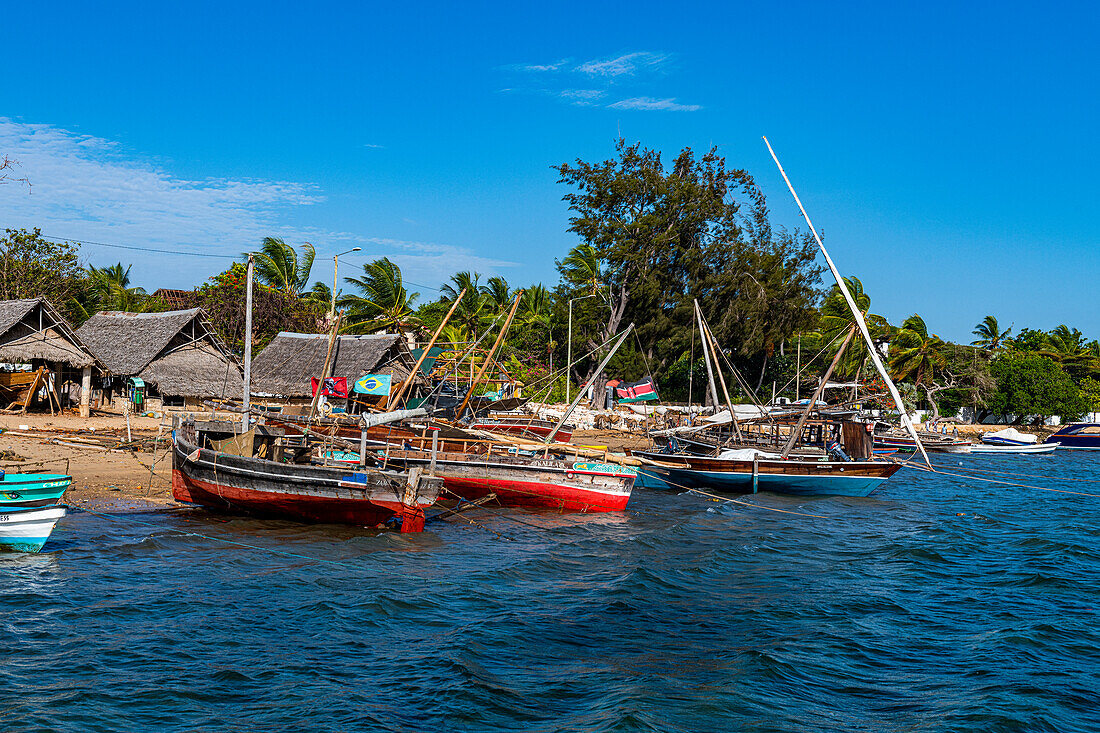 Dhows in the harbour of Shela, island of Lamu, Shela, Kenya, East Africa, Africa