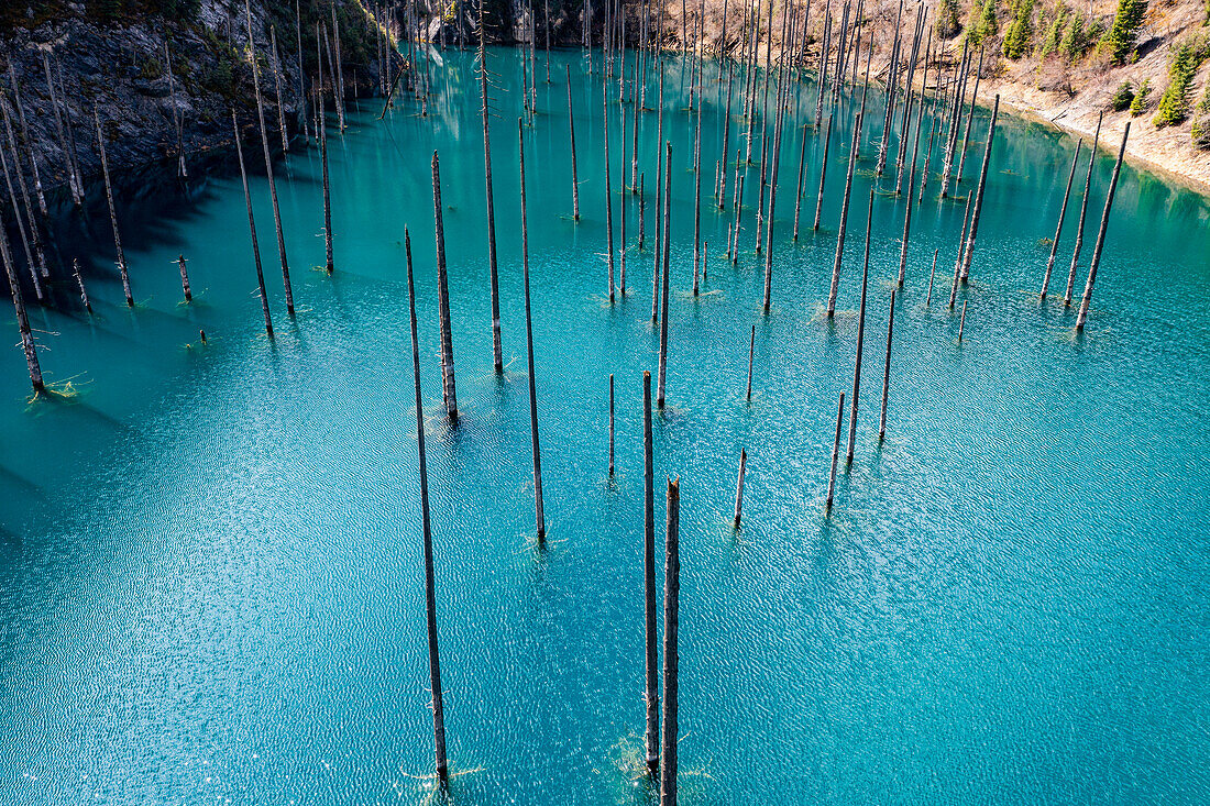 Aerial of the Kaindy Lake with its dead trees, Kolsay Lakes National Park, Tian Shan mountains, Kazakhstan, Central Asia, Asia