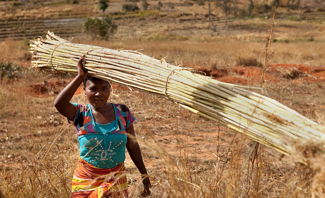 Porträt eines Dorfbewohners, der Bambus sammelt, Isalo, Madagaskar, Afrika