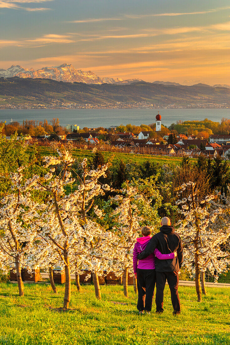 Blick über Kressbronn zum Bodensee und Schweizer Alpen mit Santis, 2502m, Oberschwaben, Baden-Württemberg, Deutschland, Europa