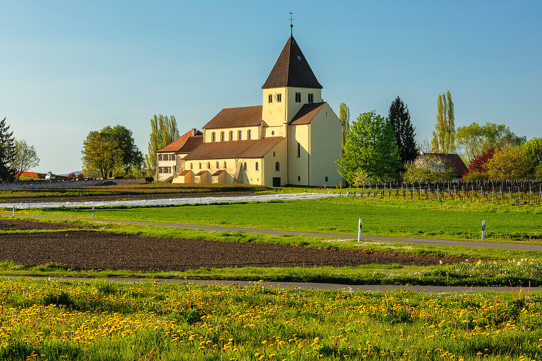 St. Georg Church, Oberzell, UNESCO World Heritage Site, Reichenau Island, Lake Constance, Baden Wurttemberg, Germany, Europe