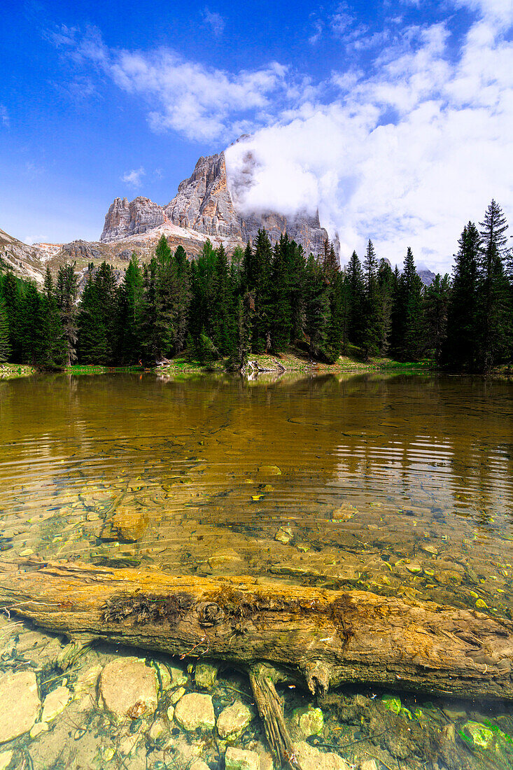 Alpine lake Bai De Dones and woods in spring with Tofana di Rozes in the backdrop, Dolomites, Lagazuoi Pass, Veneto, Italy, Europe