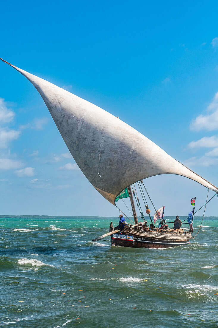 Traditionelles Dhau-Segeln im Indischen Ozean, Insel Lamu, Kenia, Ostafrika, Afrika