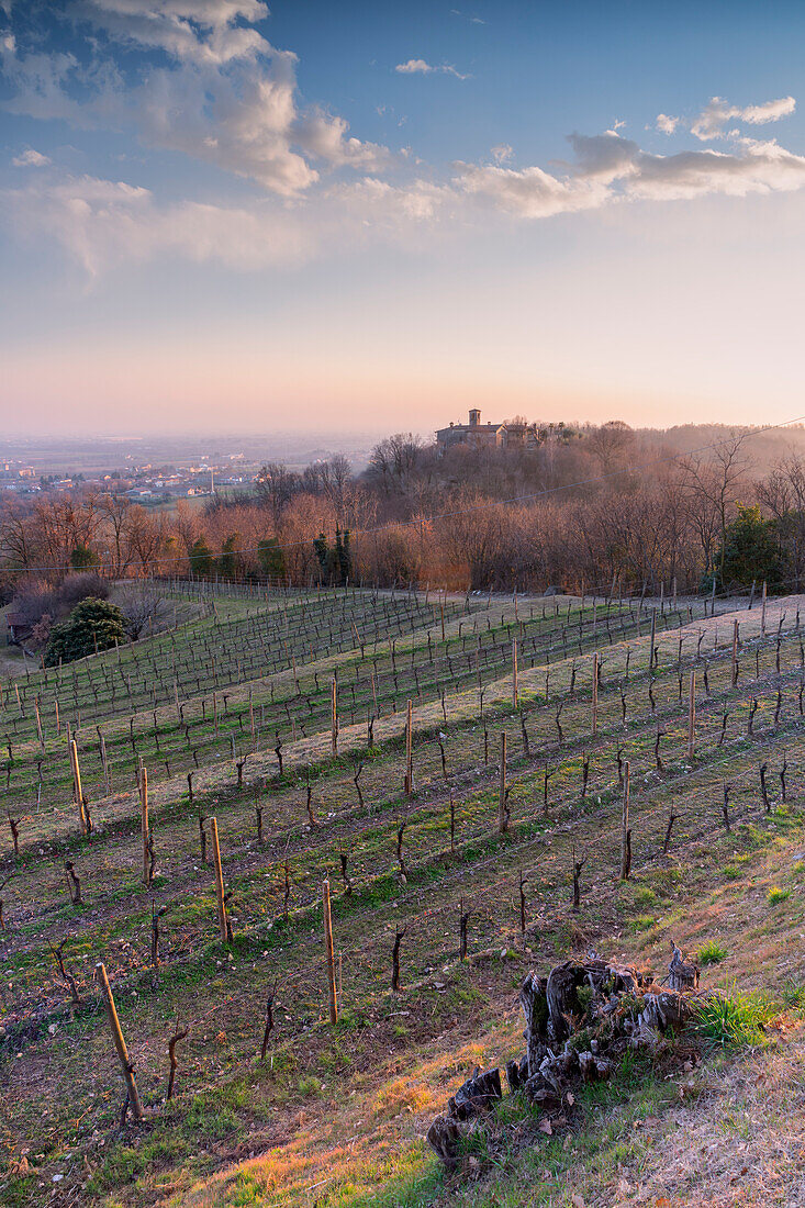 Sonnenuntergang über den Weinbergen von Franciacorta, Provinz Brescia im Bezirk Lombardei, Italien, Europa