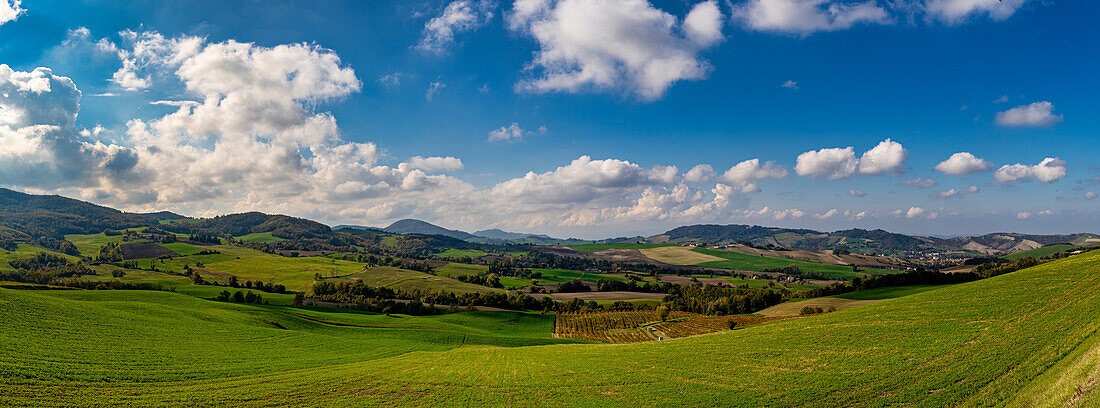 Die Hügel von Casatico im Herbst, Langhirano, Parma, Emilia Romagna, Italien, Europa