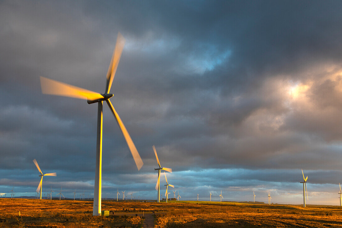 Windkraftanlagen bei Sonnenuntergang und stürmischem Himmel, Whitelee Windfarm, East Renfrewshire, Schottland, Vereinigtes Königreich, Europa