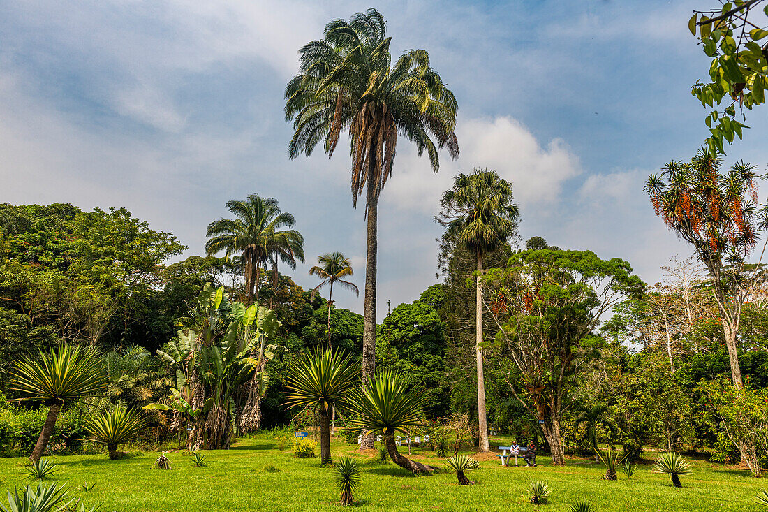 Kisantu botanical gardens, Kisantu, Democratic Republic of the Congo, Africa
