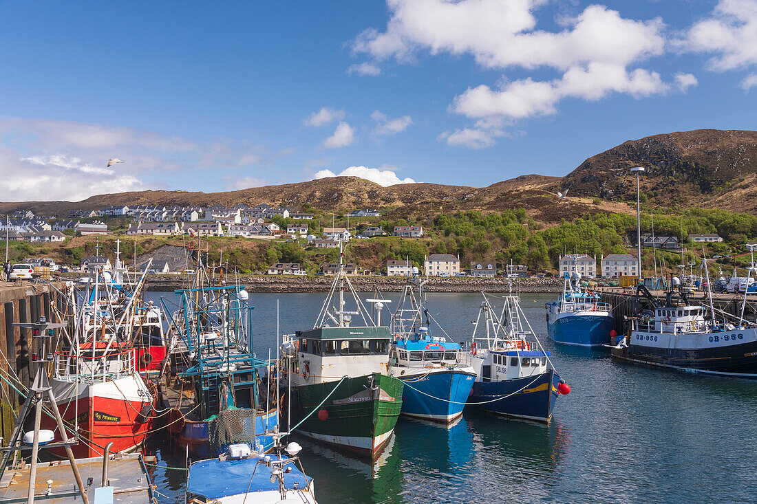 Im Hafen von Mallaig vertäute Fischer- und Freizeitboote, Highlands, Schottland, Vereinigtes Königreich, Europa