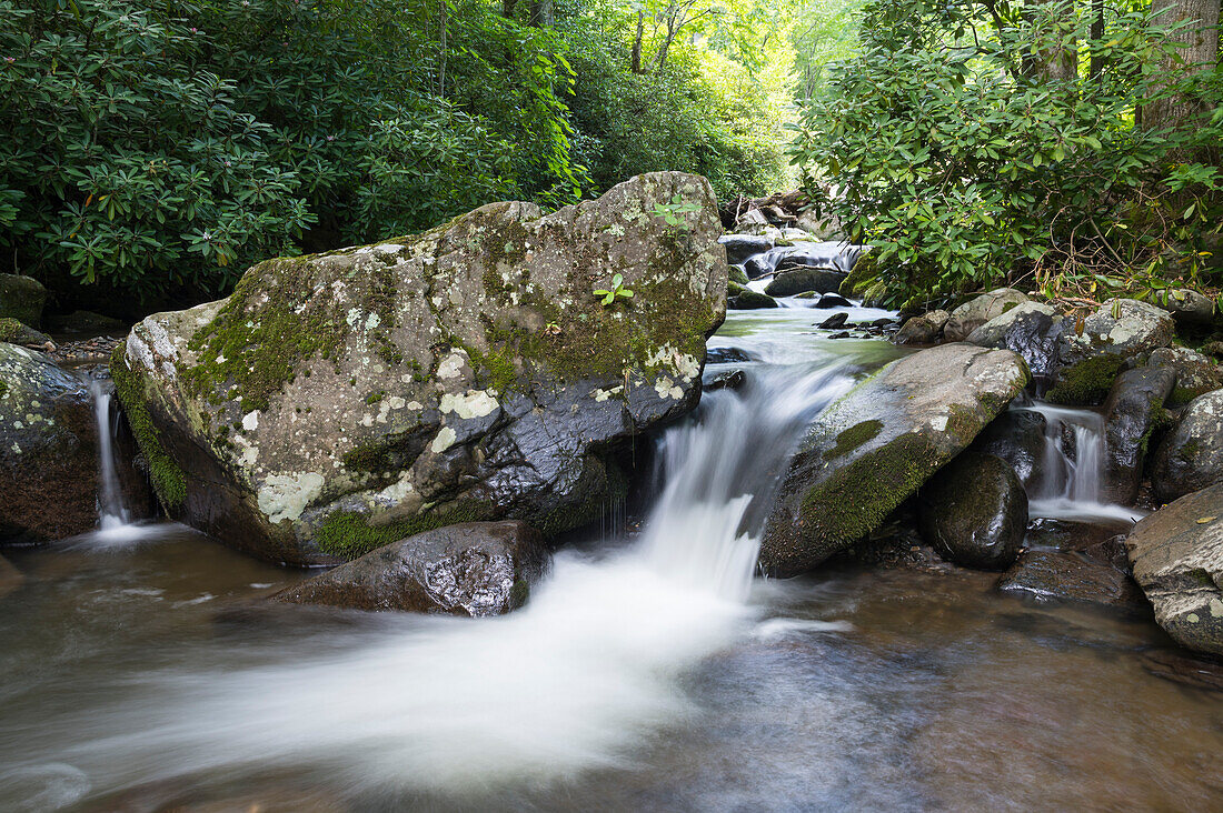 Ein beruhigender Gebirgsbach fließt durch einen dichten Sommerwald, Blue Ridge Mountains, Appalachen, North Carolina, Vereinigte Staaten von Amerika, Nordamerika