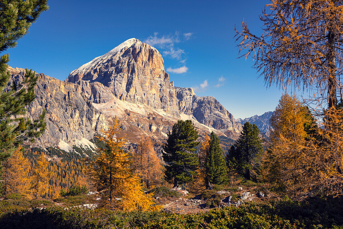Tofana di Rozes im Herbst, Falzaregopass, Dolomiten, Venetien, Italien, Europa