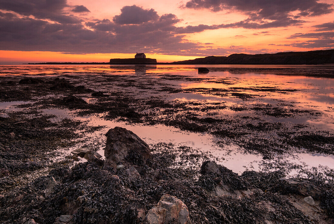 St. Cwyfan's Church auf der Insel Cribinau bei Sonnenuntergang, nahe Aberffraw, Anglesey, Nordwales, Vereinigtes Königreich, Europa