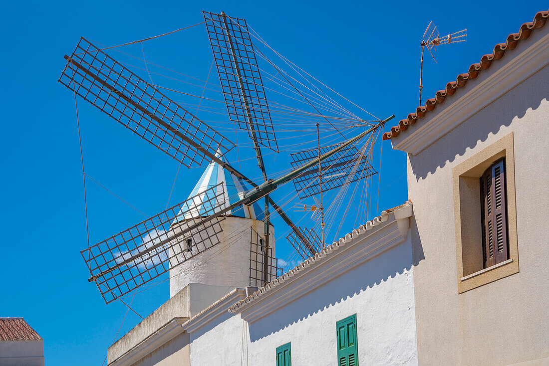 Blick auf weißgetünchte Häuser und Windmühle, Sant Lluis, Menorca, Balearen, Spanien, Mittelmeer, Europa