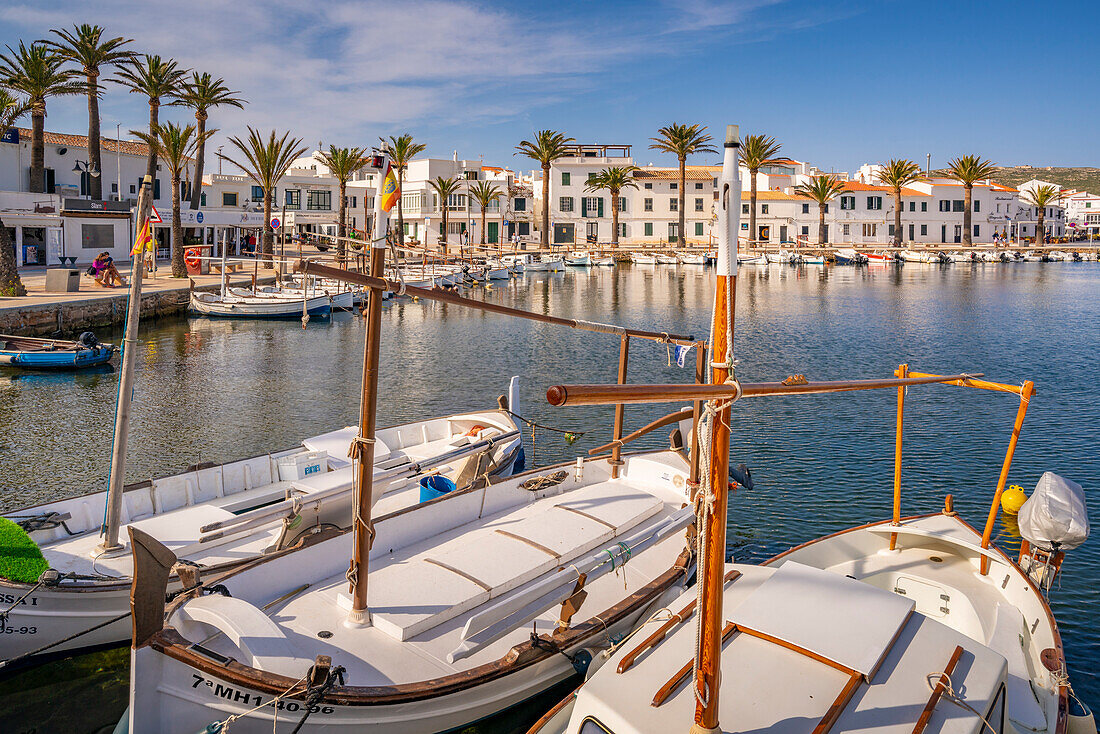 Blick auf Boote und Palmen im Jachthafen und Häuser in Fornelles, Fornelles, Menorca, Balearische Inseln, Spanien, Mittelmeer, Europa