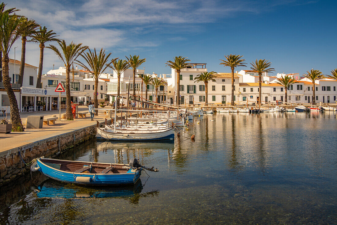 Blick auf Boote und Palmen im Jachthafen und Häuser in Fornelles, Fornelles, Menorca, Balearische Inseln, Spanien, Mittelmeer, Europa