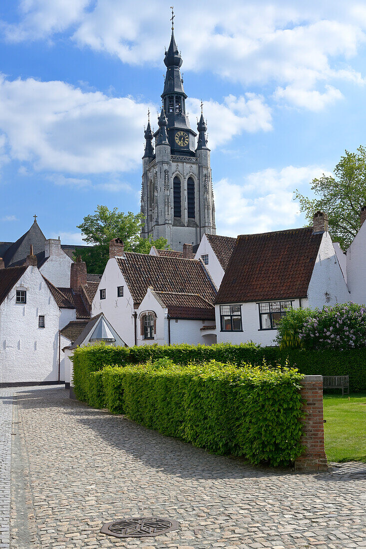 Blick auf die St. Martinskirche vom Beginenhof der Heiligen Elisabeth, Kortrijk, Flandern, Belgien, Europa