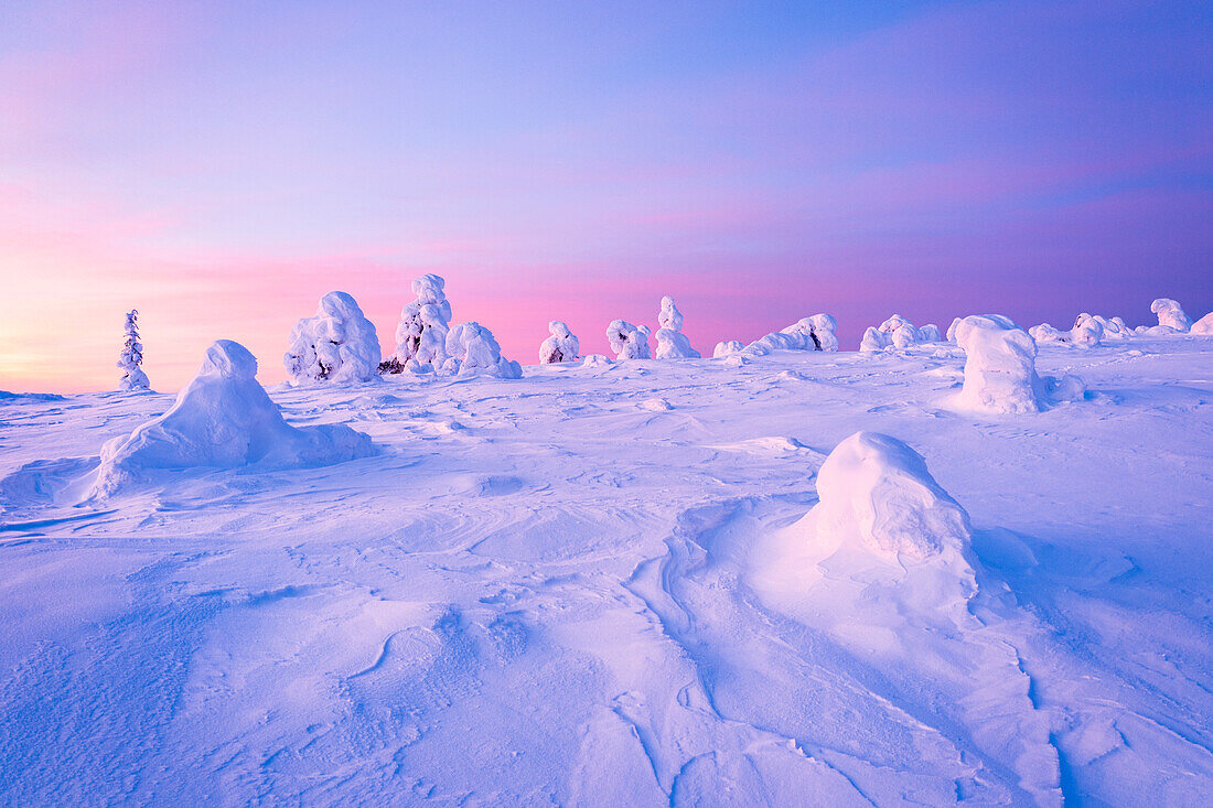 Romantischer Himmel in der Morgendämmerung über gefrorenen, schneebedeckten Bäumen, Riisitunturi-Nationalpark, Lappland, Finnland, Europa