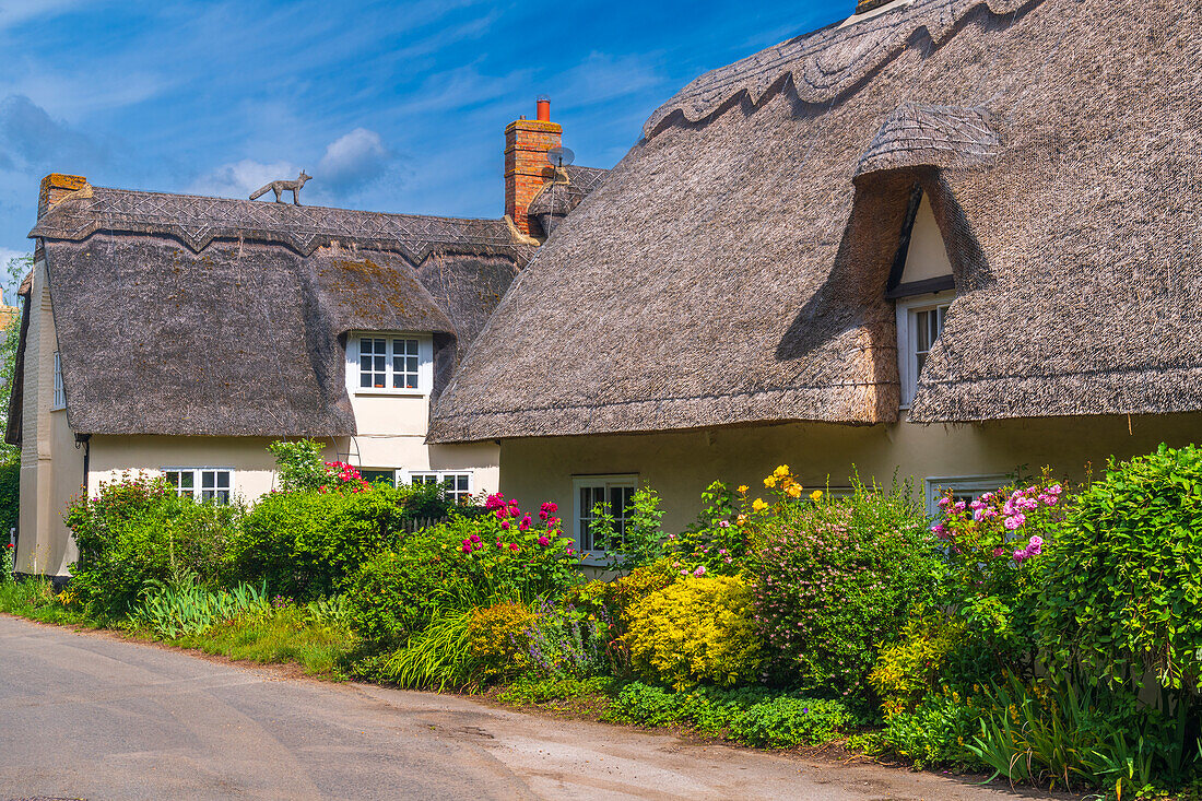 Traditional thatched cottage, Wennington, Cambridgeshire, England, United Kingdom, Europe