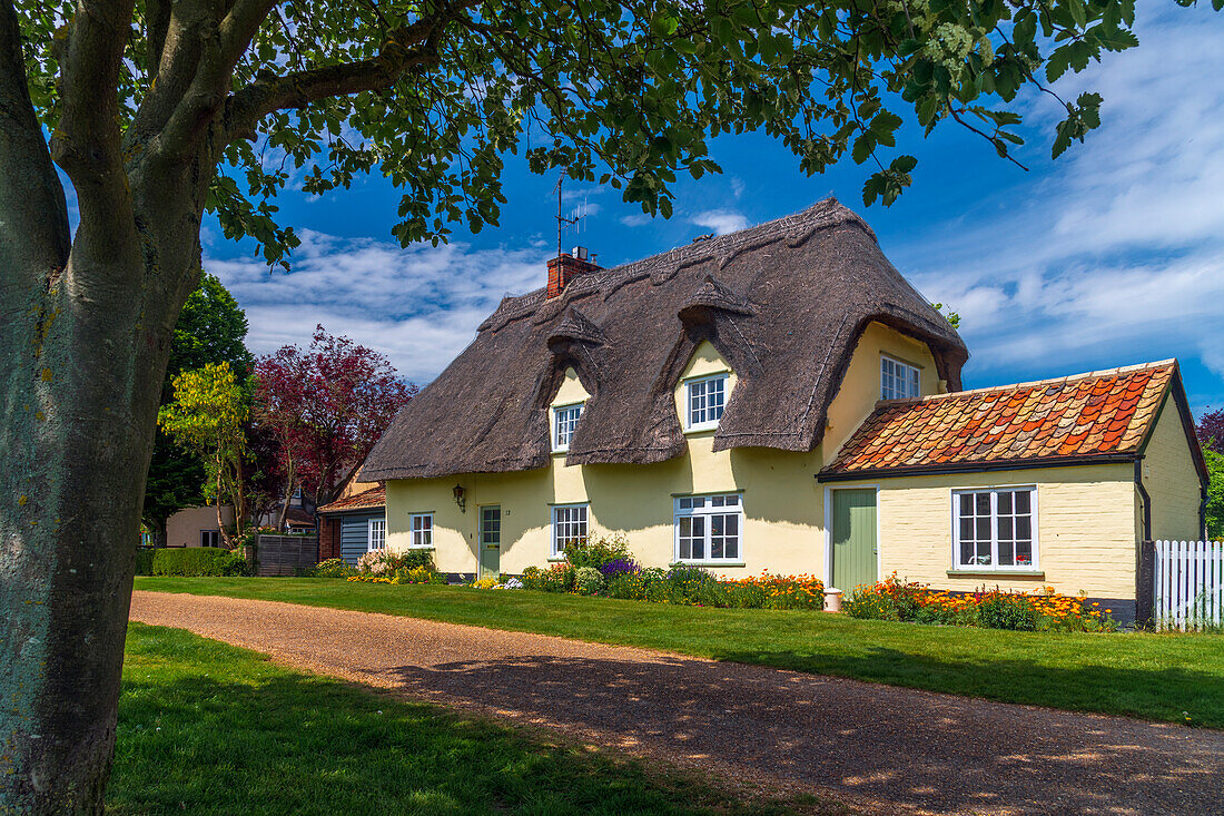 Barrington, Cambridgeshire, England, Vereinigtes Königreich, Europa