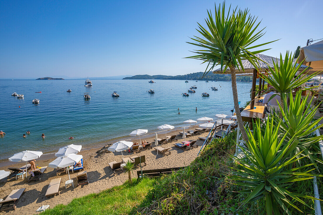 View of Paralia Megali Ammos in Skiathos Town, Skiathos Island, Sporades Islands, Greek Islands, Greece, Europe