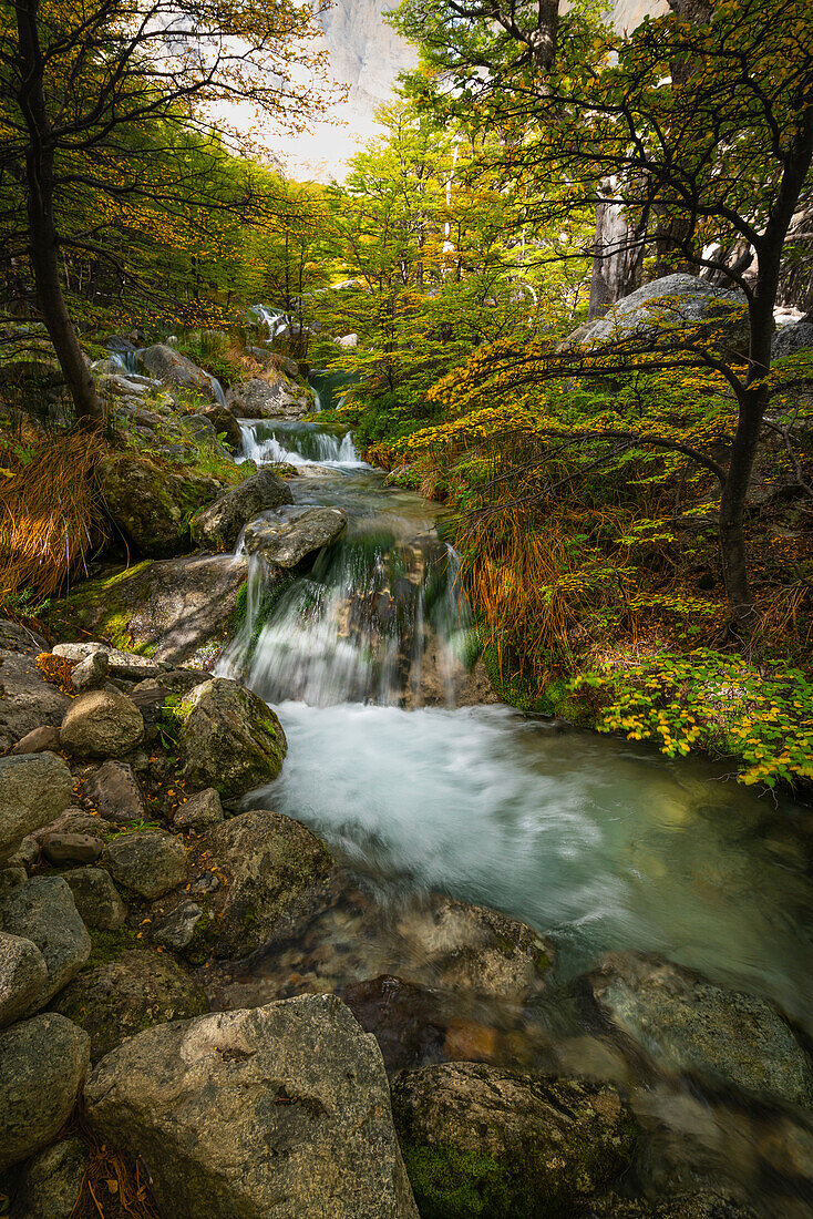 Small cascade in forest, Valle Frances (Valle del Frances), Torres del Paine National Park, Patagonia, Chile, South America