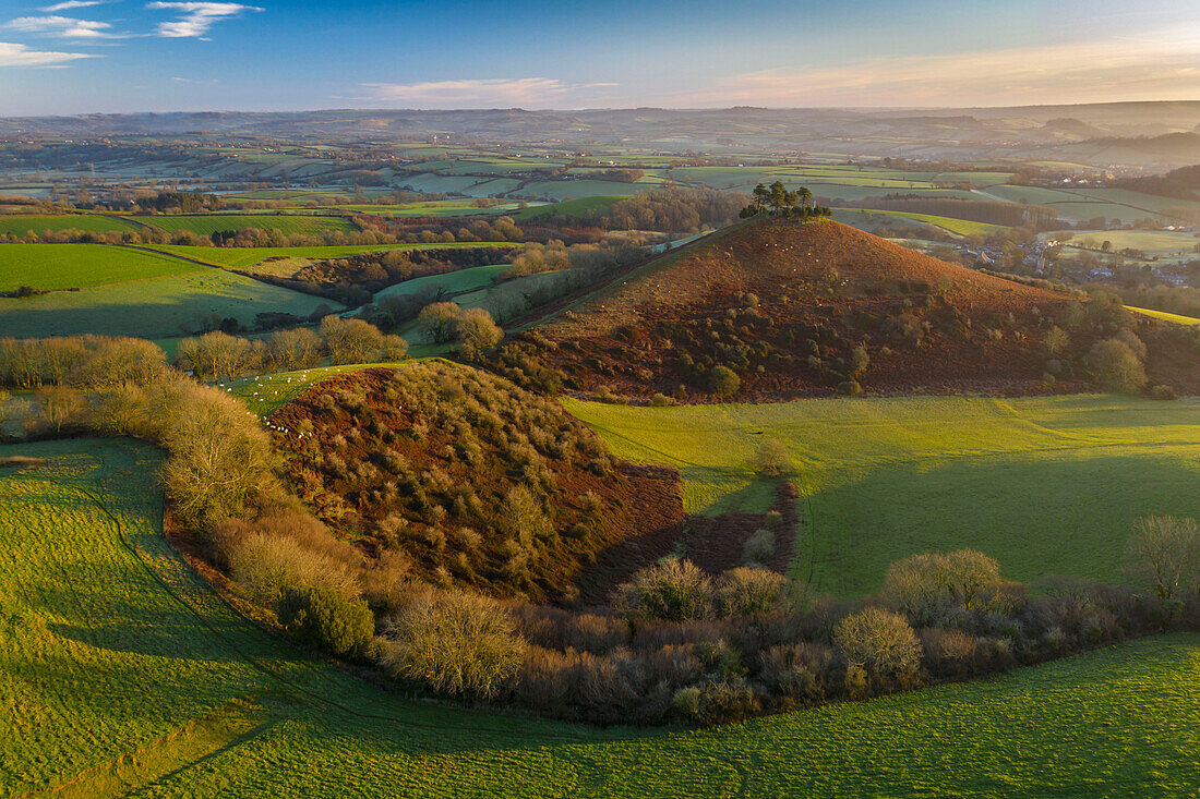 Aerial view of Colmer's Hill at dawn on a sunny winter morning, Symondsbury, Dorset, England, United Kingdom, Europe