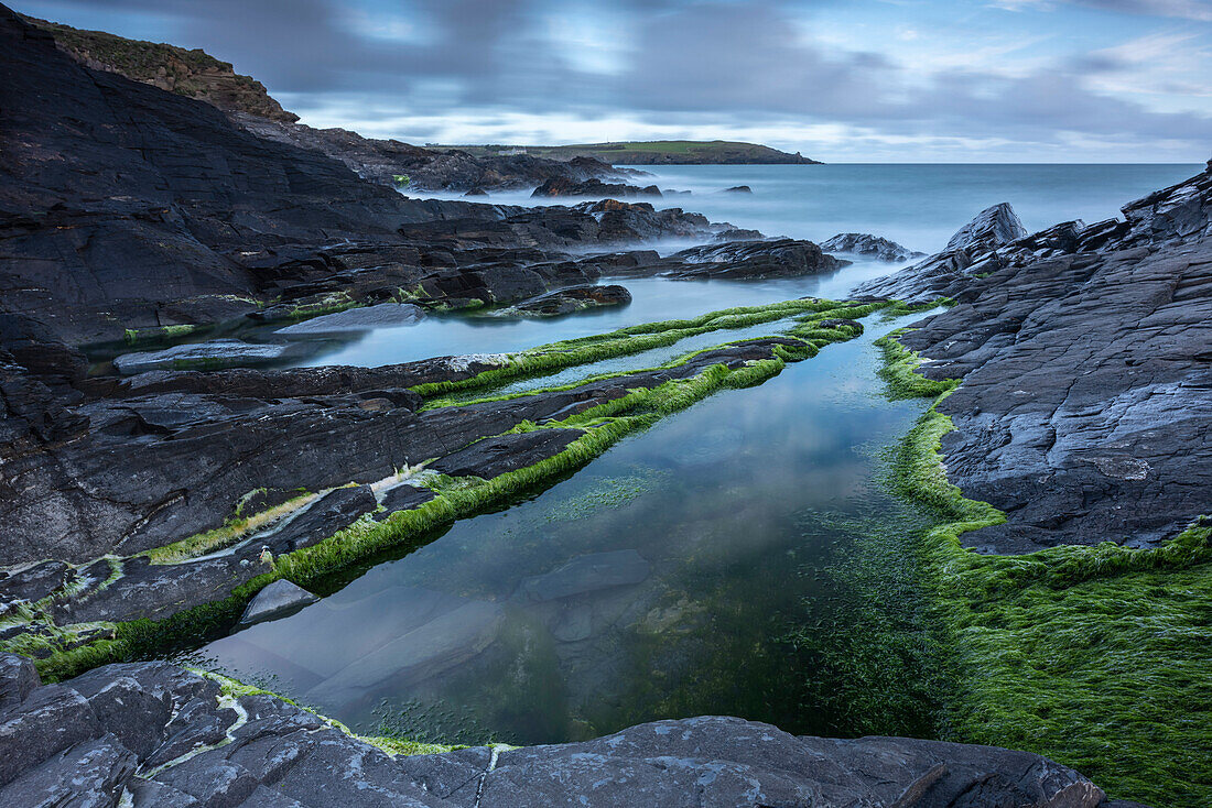 Rockpools on the slate ledges near Harlyn Bay in Cornwall, England, United Kingdom, Europe