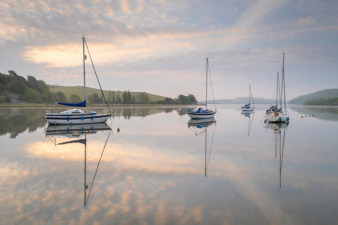 Sailing boats moored on the River Tiddy at dawn in spring, St. Germans, Cornwall, England, United Kingdom, Europe