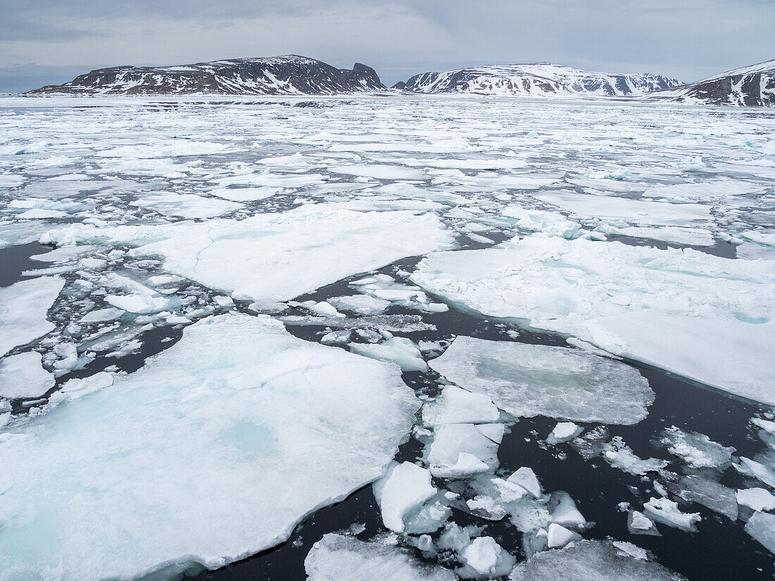 Meereis im ersten Jahr auf der Nordwestseite von Spitzbergen, Svalbard, Norwegen, Europa