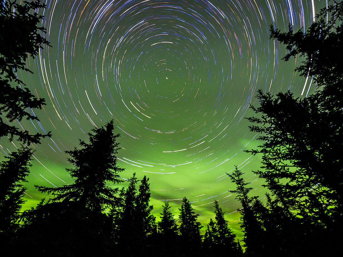 Astrofotografie mit Langzeitbelichtung, die die Sterne und das Nordlicht im Denali-Nationalpark zeigt, Alaska, Vereinigte Staaten von Amerika, Nordamerika