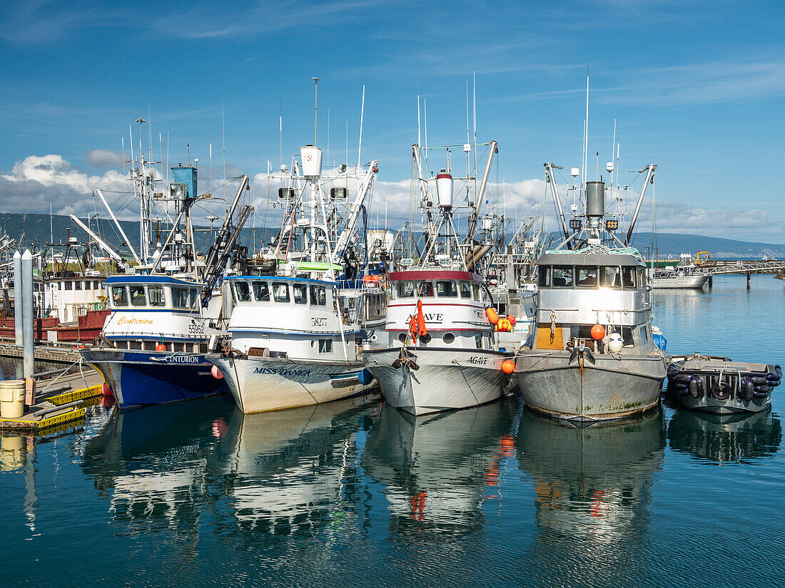 Commercial fishing boats of all kinds … – License image – 13708619 ❘  lookphotos