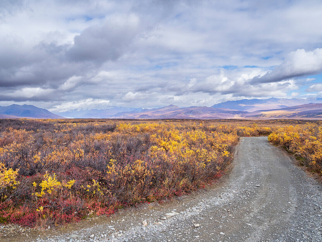 A view of the Maclaren River RT 305 trailhead on State Highway 8 near Paxson, Alaska, United States of America, North America