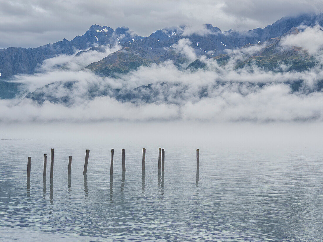 Alte Pfähle in der Resurrection Bay, Tor zu den Kenai Fjorden im Kenai Fjords National Park, Alaska, Vereinigte Staaten von Amerika, Nordamerika