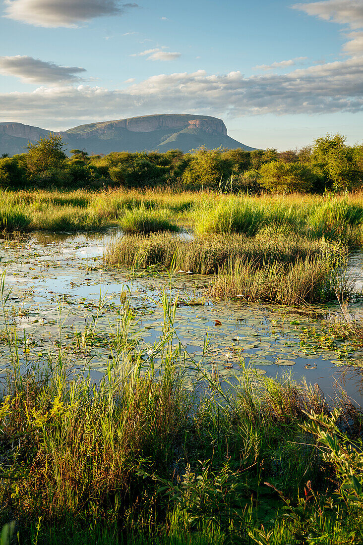 Landschaft in Marataba, Marakele-Nationalpark, Südafrika, Afrika