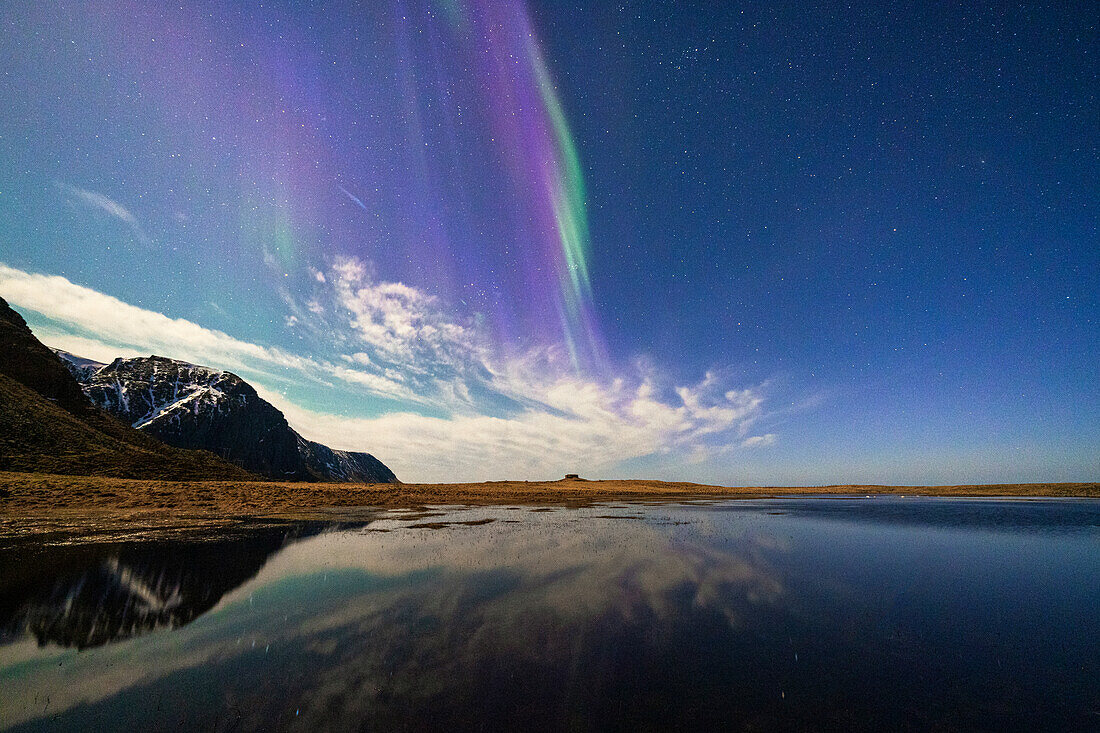 Buntes Nordlicht (Aurora Borealis), Himmel spiegelt sich im kalten Meer, Eggum, Vestvagoy, Nordland, Lofoten, Norwegen, Skandinavien, Europa