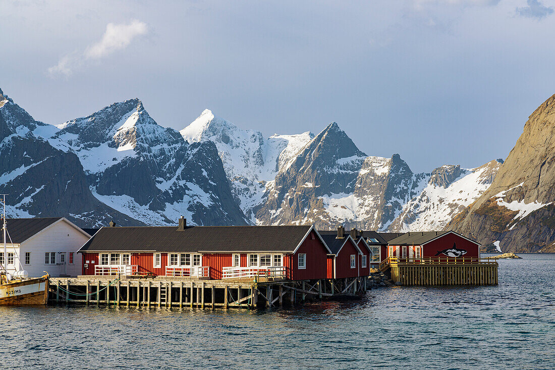 Fischerhäuser mit schneebedeckten Bergen im Hintergrund, Reine Bay, Lofoten Inseln, Nordland, Norwegen, Skandinavien, Europa