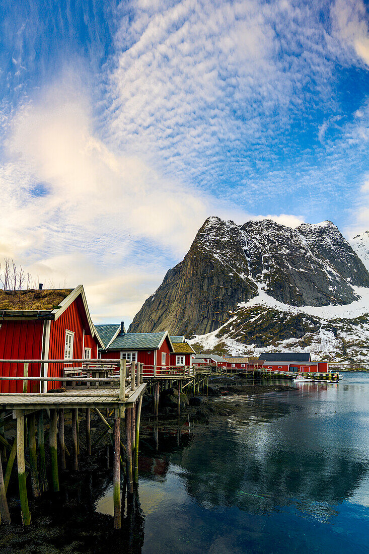 Stelzenhäuser mit Grasdach im kleinen Hafen von Reine, Lofoten Inseln, Nordland, Norwegen, Skandinavien, Europa