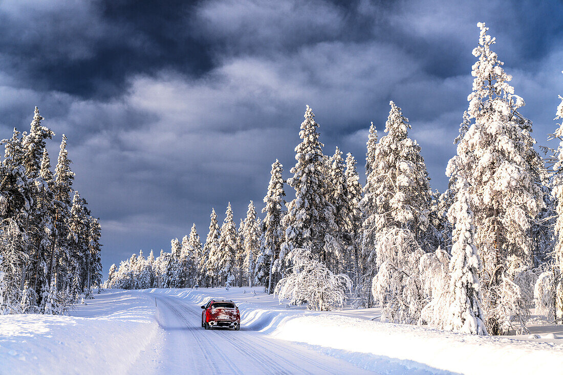 Auto fährt auf glatter Straße umgeben von schneebedeckten Bäumen in einem gefrorenen Wald, Kangos, Norrbotten County, Lappland, Schweden, Skandinavien, Europa