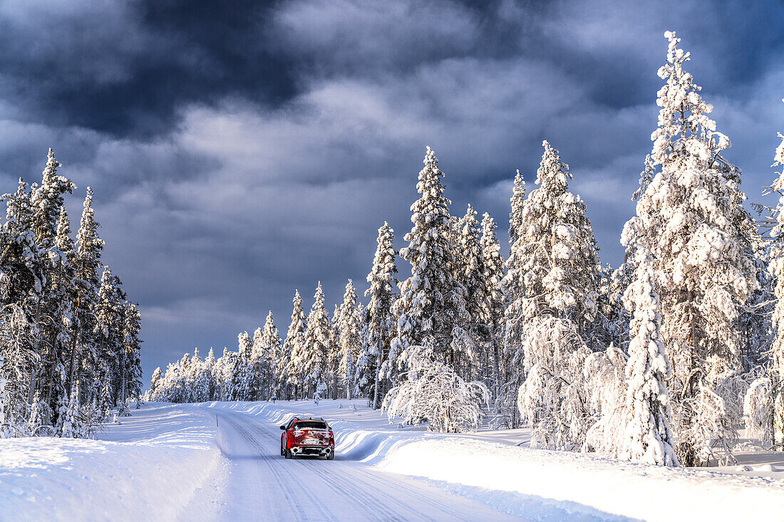 Car traveling on slippery road surrounded by snow covered trees in a frozen forest, Kangos, Norrbotten County, Lapland, Sweden, Scandinavia, Europe