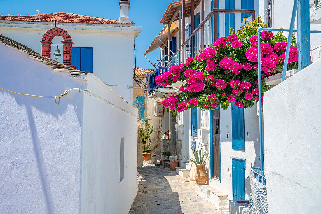 Blick auf enge, weiß getünchte Straße, Skopelos-Stadt, Skopelos-Insel, Sporaden, Griechische Inseln, Griechenland, Europa
