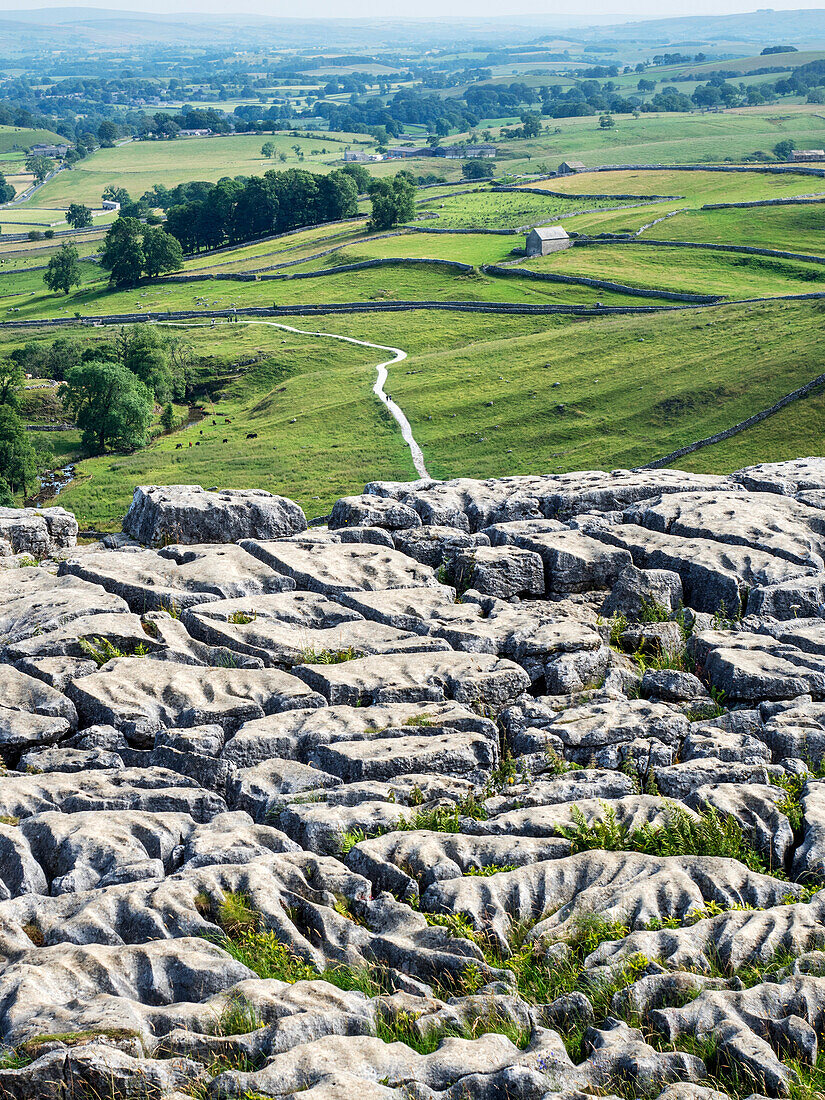 Limestone pavement, Malham Cove, Yorkshire Dales National Park, North Yorkshire, England, United Kingdom, Europe