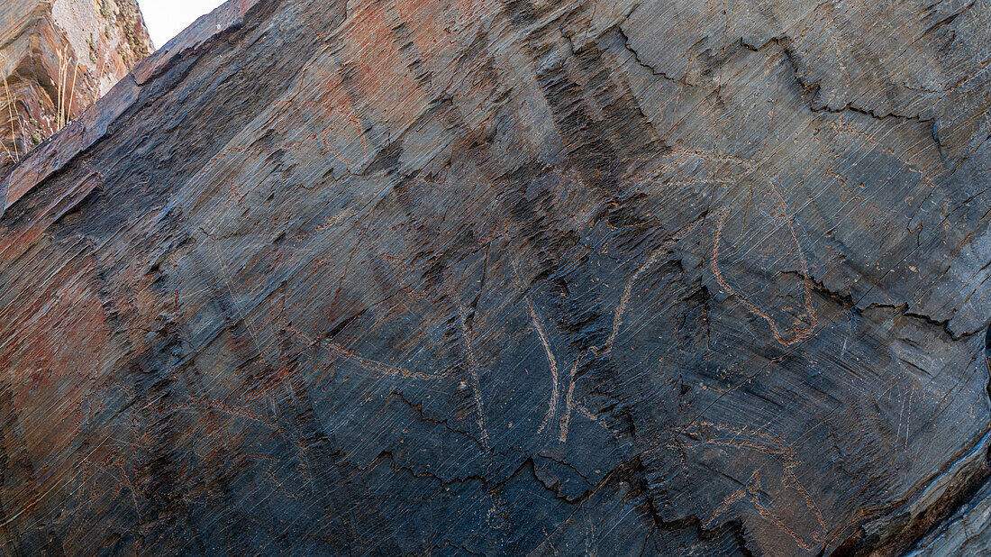 Rock carvings, Paleolithic Art, Siega Verde, UNESCO World Heritage Site, Serranillo, Villar de la Yegua, Castile and Leon, Spain, Europe