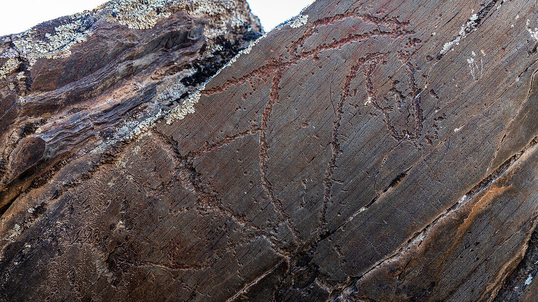 Felszeichnungen, Paläolithische Kunst, Siega Verde, UNESCO-Welterbestätte, Serranillo, Villar de la Yegua, Kastilien und Leon, Spanien, Europa