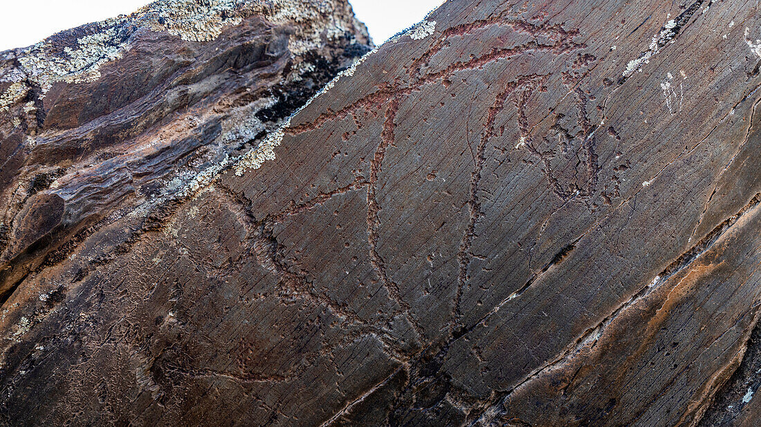Rock carvings, Paleolithic Art, Siega Verde, UNESCO World Heritage Site, Serranillo, Villar de la Yegua, Castile and Leon, Spain, Europe